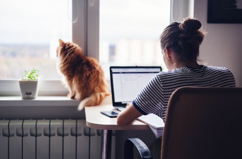 The 35% Shift: An Analysis of Belgium's Remote Work Trends