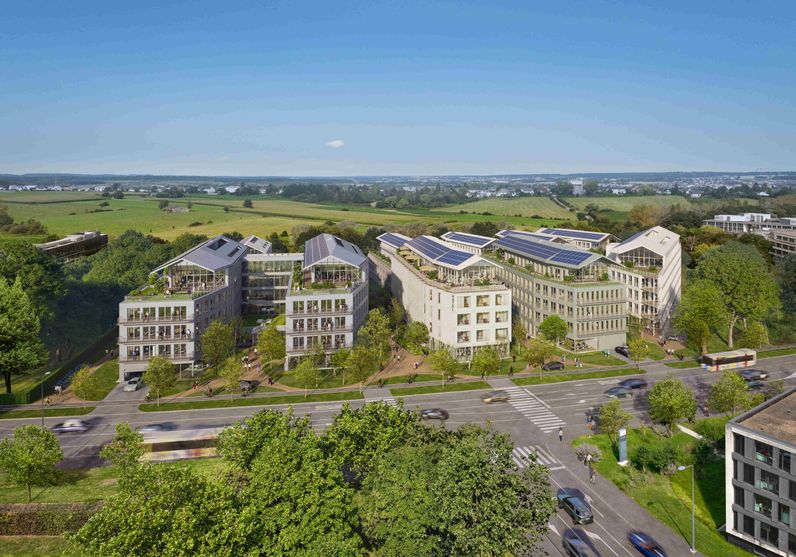 BOTANICA A - HORIZON