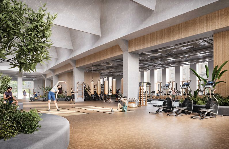 The Fifty Six - Project