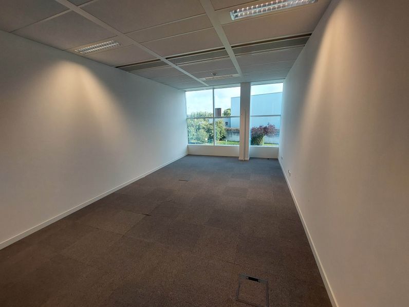 WEST SIDE VILLAGE: BUIS