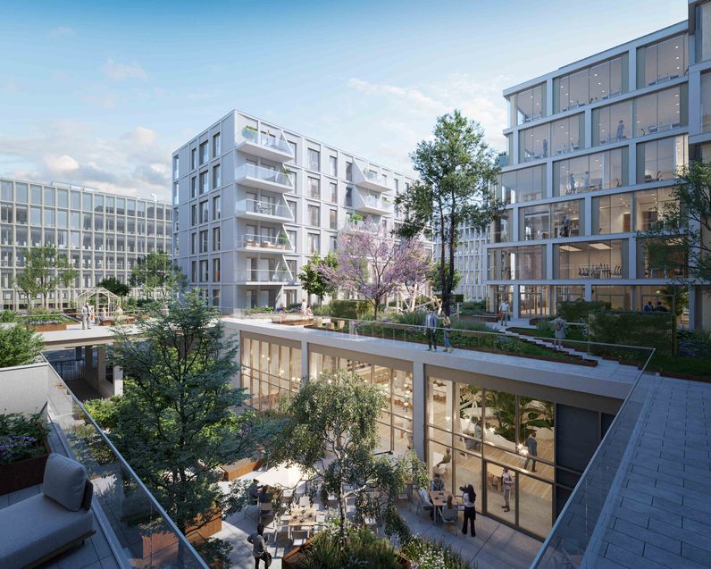 ROOTS LOT 41 (Projet)